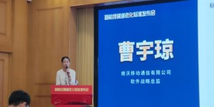 亮相智能终端适老化标准发布会 vivo“五大招“赋能老年用户群