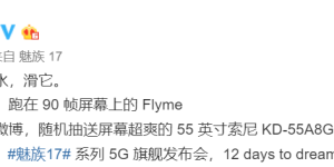 魅族 17 屏幕信息公布，确认 90Hz 刷新率