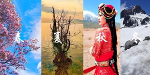 vivo S6视频太给力，超级防抖助你“身临其境”