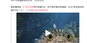 荣耀V40新大招：GPU Turbo X图形加速，游戏性能更出色