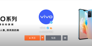 vivo S10官方图亮相：京东“盲定”1小时破10万